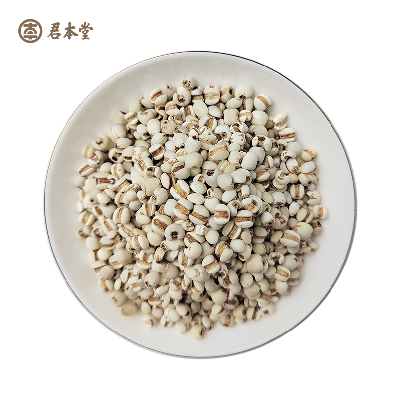 薏苡仁2.png