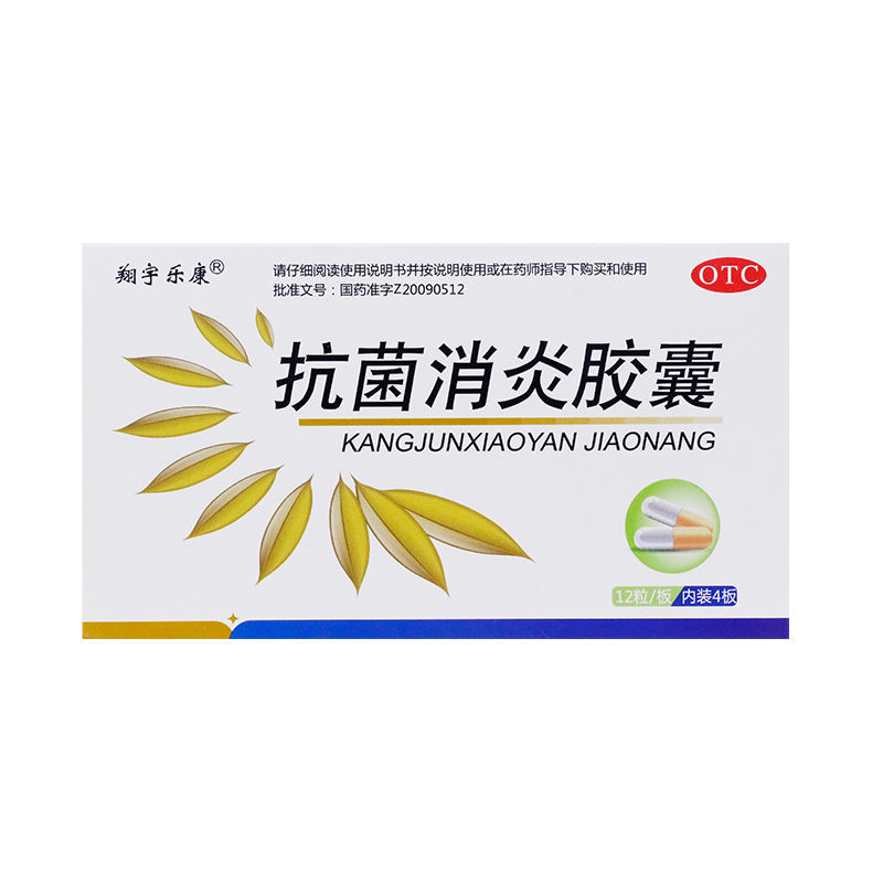 翔宇乐康 抗菌消炎胶囊 0.4g*12粒*4板/盒